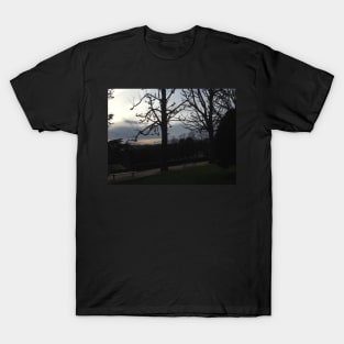 Paris from Pere Lachaise T-Shirt